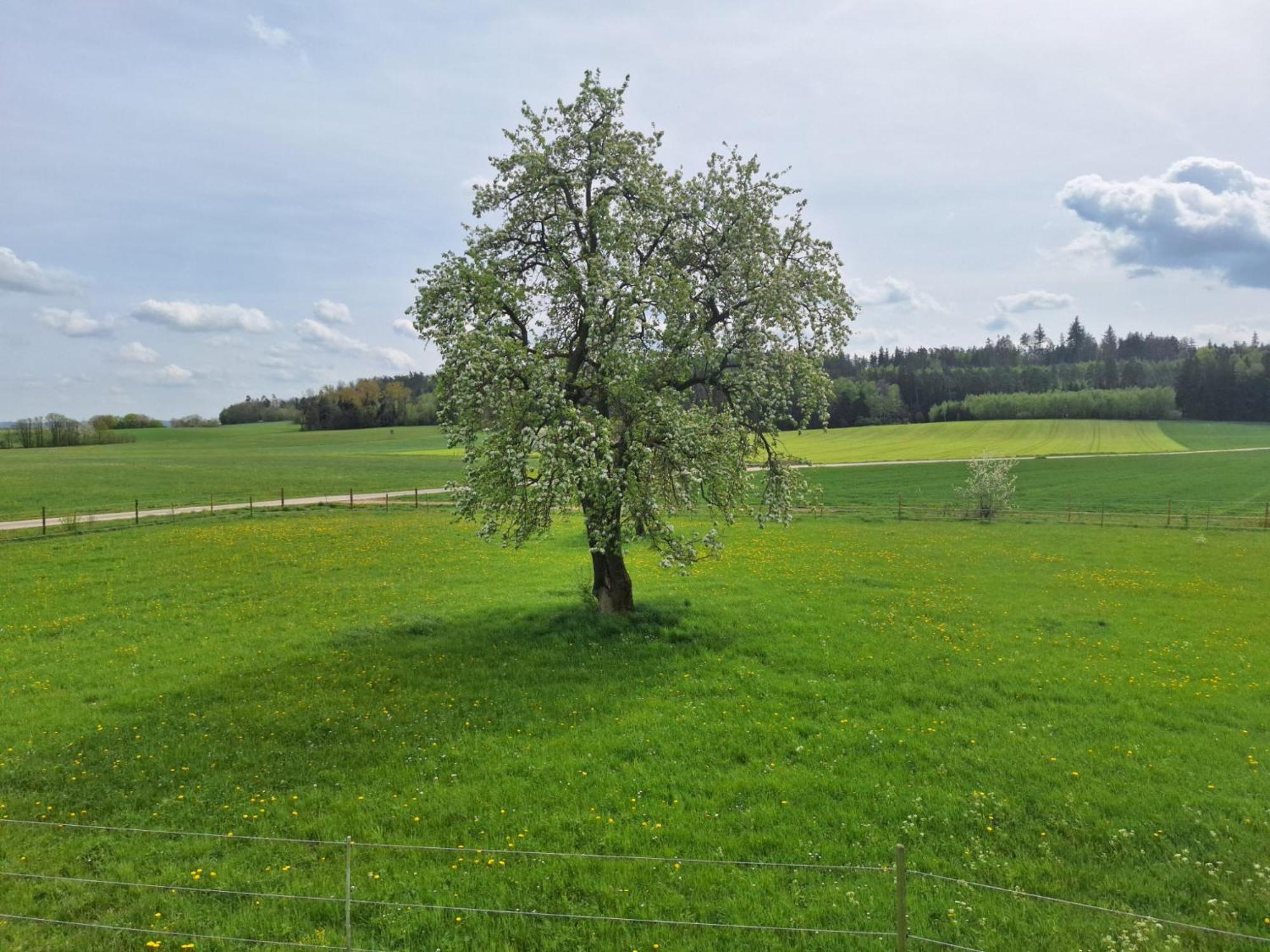 Gaestehaus Plath Wettringen  Bagian luar foto