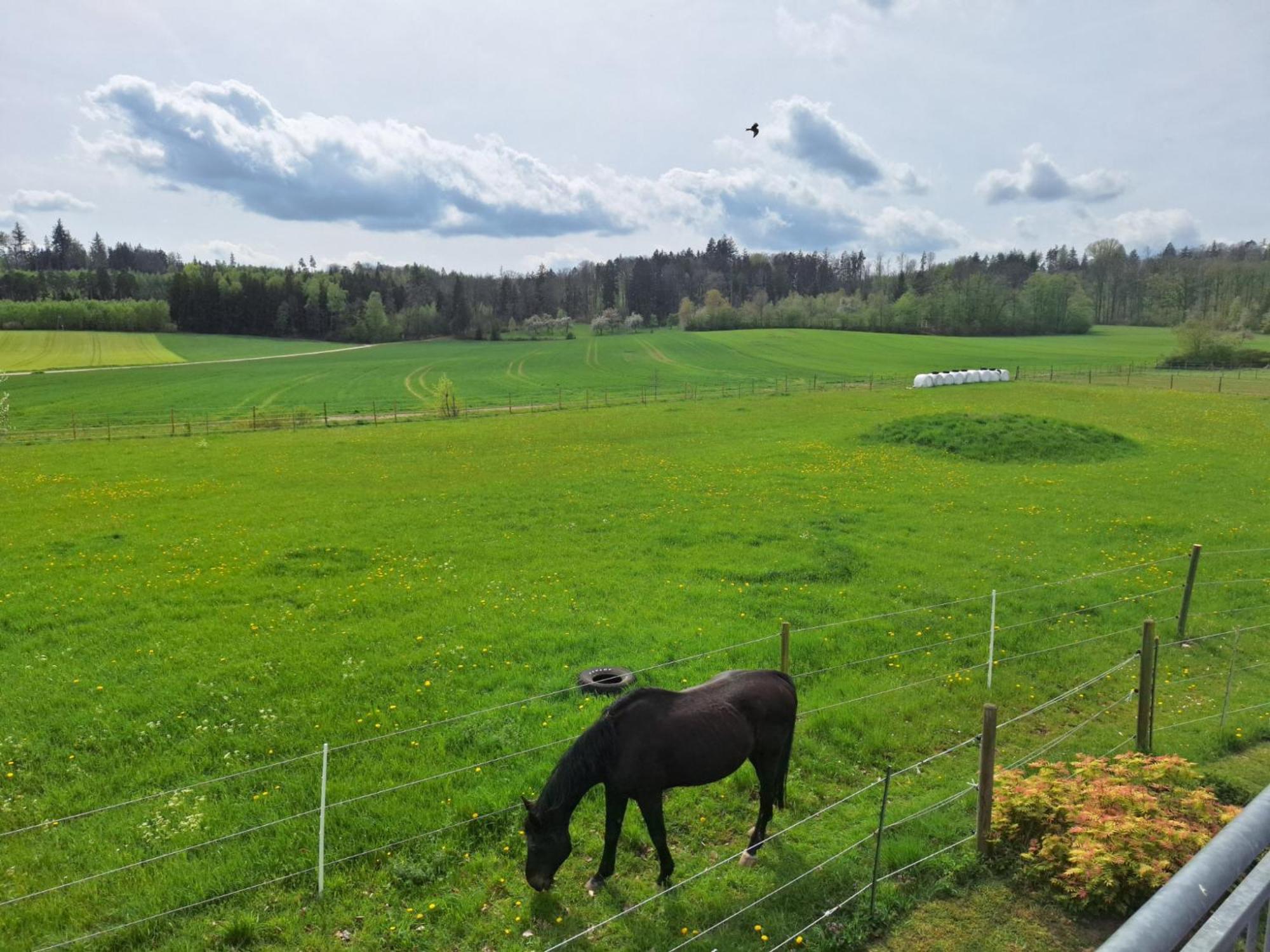 Gaestehaus Plath Wettringen  Bagian luar foto