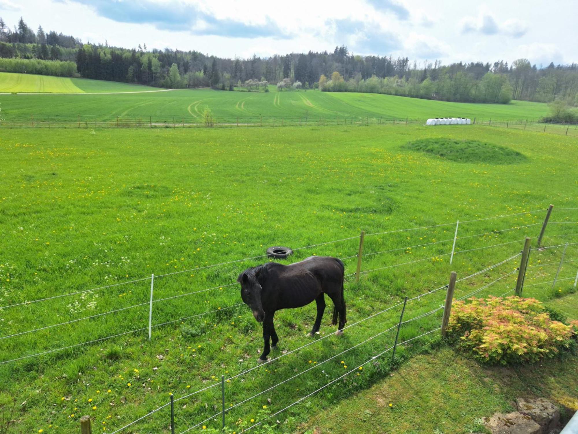 Gaestehaus Plath Wettringen  Bagian luar foto